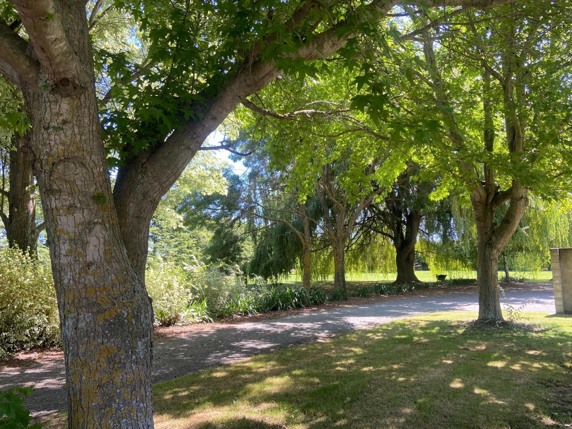 Fairhall Guest Lodge Woodbourne Εξωτερικό φωτογραφία